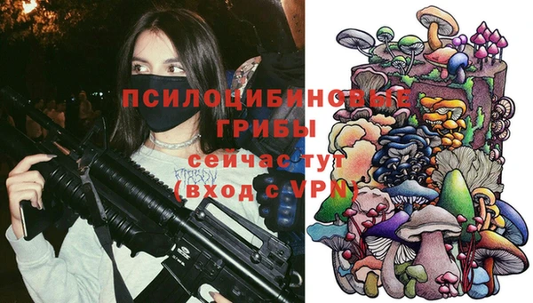 прущие крисы Бородино