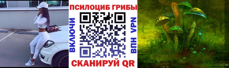 купить наркоту  Ворсма  Псилоцибиновые грибы MAGIC MUSHROOMS 